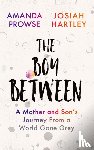 Hartley, Josiah, Prowse, Amanda - The Boy Between