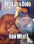 Van Gouache, Vincent - Dead as a Dodo - Now What?: Important Info You'll Need Once I'm Gone