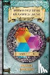 Barat, Cecilia - Memoria del juego: Historia