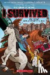 Tarshis, Lauren - I Survived the Great Molasses Flood, 1919 (I Survived Graphic Novel #11)