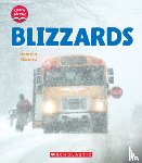 Vizcarra, Natasha - Blizzards