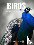 Pictures, Just - Birds: Coffee Table Book Series