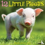 Willow Creek Press - 12 Little Piggies 2025 12 X 12 Wall Calendar