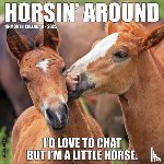 Willow Creek Press - Horsin' Around 2025 12 X 12 Wall Calendar