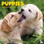Willow Creek Press - Puppies 2025 7 X 7 Mini Wall Calendar