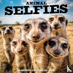 Willow Creek Press - Animal Selfies 2025 12 X 12 Wall Calendar