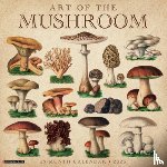 Willow Creek Press - Art of the Mushroom 2026 12 X 12 Wall Calendar