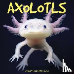 Willow Creek Press - Axolotls 2026 12 X 12 Wall Calendar