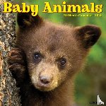 Willow Creek Press - Baby Animals 2026 12 X 12 Wall Calendar