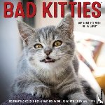 Willow Creek Press - Bad Kitties 2026 12 X 12 Wall Calendar