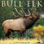 Willow Creek Press - Bull Elk 2026 12 X 12 Wall Calendar
