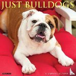 Willow Creek Press - Bulldogs 2026 Wall Calendar