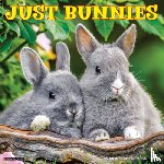 Willow Creek Press - Bunnies 2026 12 X 12 Wall Calendar