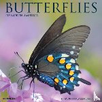 Willow Creek Press - Butterflies 2026 12 X 12 Wall Calendar