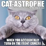 Willow Creek Press - Cat-Astrophe 2026 12 X 12 Wall Calendar