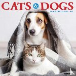 Willow Creek Press - Cats & Dogs 2026 12 X 12 Wall Calendar