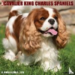 Willow Creek Press - Cavalier King Charles Spaniels 2026 12 X 12 Wall Calendar
