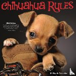 Willow Creek Press - Chihuahua Rules 2026 12 X 12 Wall Calendar
