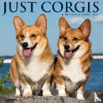 Willow Creek Press - Corgis 2026 12 X 12 Wall Calendar