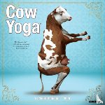 Willow Creek Press - Cow Yoga 2026 12 X 12 Wall Calendar