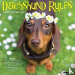 Willow Creek Press - Dachshund Rules 2026 12 X 12 Wall Calendar