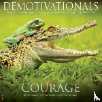 Willow Creek Press - Demotivationals 2026 12 X 12 Wall Calendar