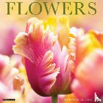 Willow Creek Press - Flowers 2026 12 X 12 Wall Calendar