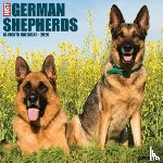 Willow Creek Press - German Shepherds 2026 Wall Calendar