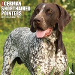 Willow Creek Press - German Shorthair Pointers 2026 Wall Calendar