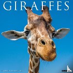 Willow Creek Press - Giraffes 2026 Wall Calendar
