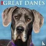 Willow Creek Press - Great Danes 2026 Wall Calendar