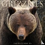 Willow Creek Press - Grizzlies 2026 12 X 12 Wall Calendar