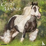 Willow Creek Press - Gypsy Vanner Horse 2026 12 X 12 Wall Calendar