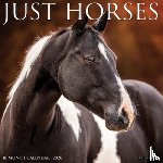 Willow Creek Press - Horses 2026 Wall Calendar