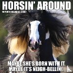 Willow Creek Press - Horsin' Around 2026 Wall Calendar