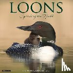 Willow Creek Press - Loons 2026 Wall Calendar