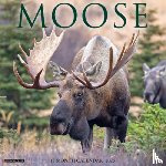 Willow Creek Press - Moose 2026 Wall Calendar