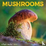 Willow Creek Press - Mushrooms 2026 Wall Calendar