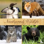 Willow Creek Press - Northwoods Wildlife 2026 Wall Calendar
