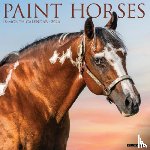 Willow Creek Press - Paint Horses 2026 Wall Calendar
