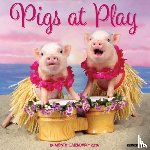 Willow Creek Press - Pigs at Play 2026 Wall Calendar