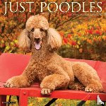 Willow Creek Press - Poodles 2026 Wall Calendar