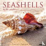 Willow Creek Press - Seashells 2026 Wall Calendar