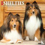 Willow Creek Press - Shelties 2026 Wall Calendar