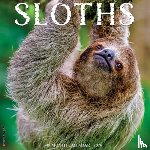 Willow Creek Press - Sloths 2026 Wall Calendar