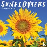 Willow Creek Press - Sunflowers 2026 12 X 12 Wall Calendar