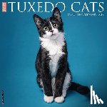 Willow Creek Press - Tuxedo Cats 2026 12 X 12 Wall Calendar