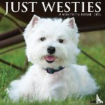 Willow Creek Press - Westies 2026 Wall Calendar