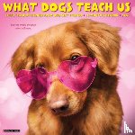 Willow Creek Press - What Dogs Teach Us 2026 12 X 12 Wall Calendar