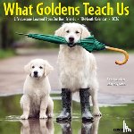 Willow Creek Press - What Goldens Teach Us 2026 12 X 12 Wall Calendar